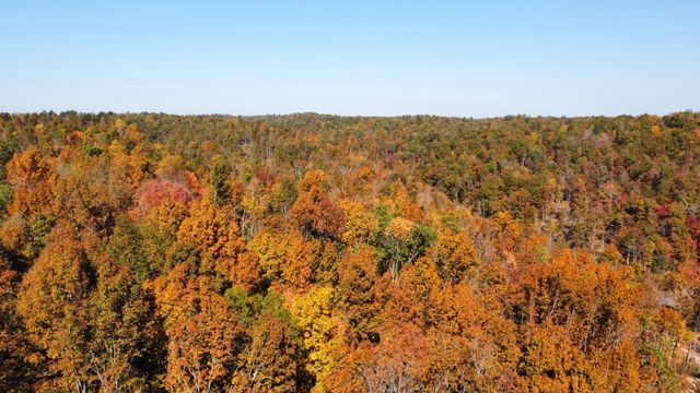635 Cane Creek Rd, Hohenwald, TN 38462