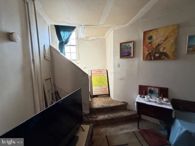 113-A A000 N UNION AVE, Lansdowne, PA 19050