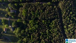 6320 EARLY DRIVE, Bessemer, AL 35023