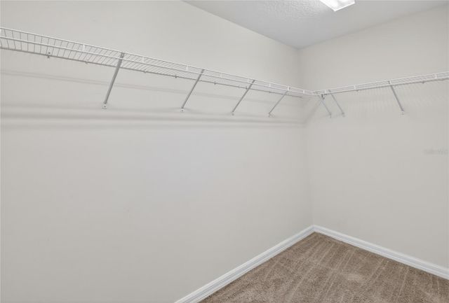 11113 LAMMER LANE, Oxford, FL 34484