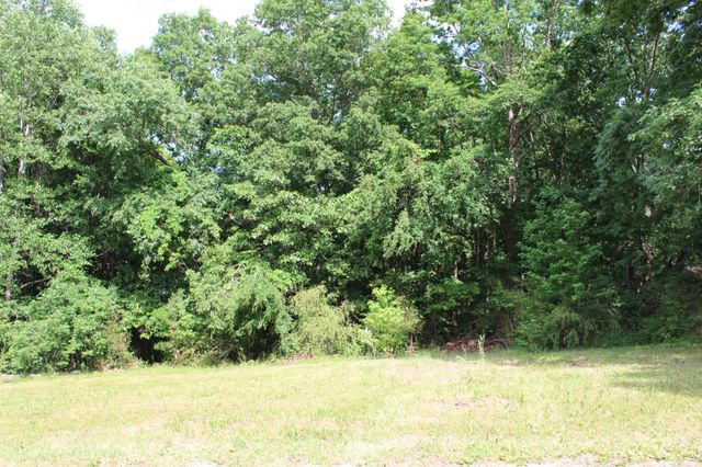 110 Towering Oaks Dr, Tennessee Ridge, TN 37178