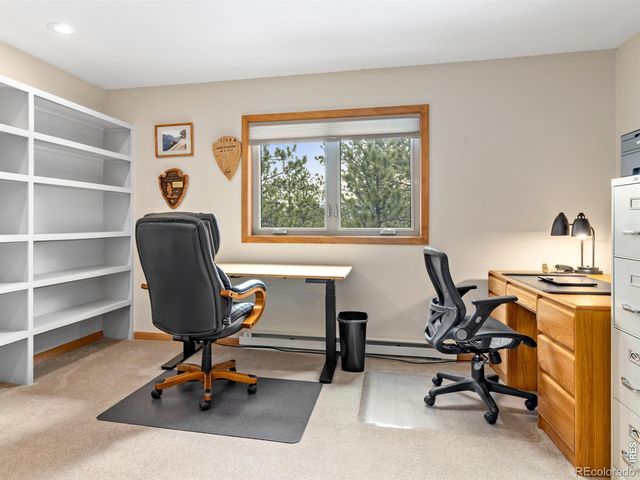 510 Chiquita Lane, Estes Park, CO 80517