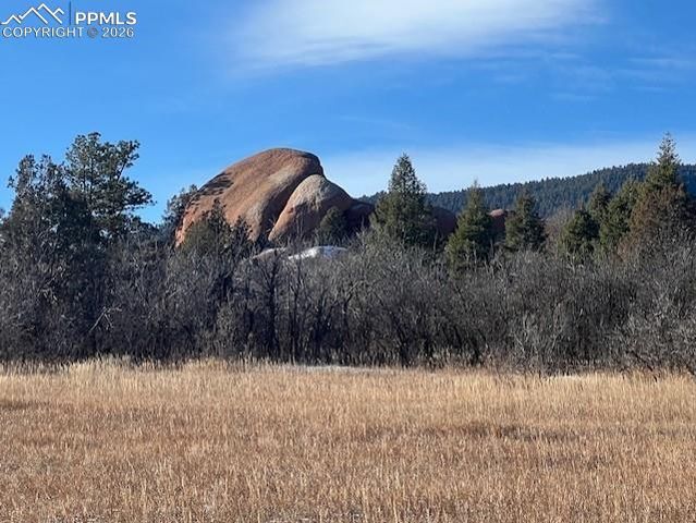 6009 St Andrews Court, Larkspur, CO 80118