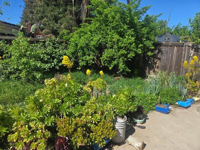 4421 Harmony Hill Way, Stockton, CA 95212