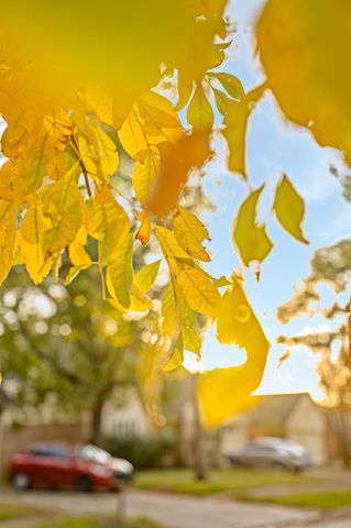 12007 Sharpcrest Street, Houston, TX 77072