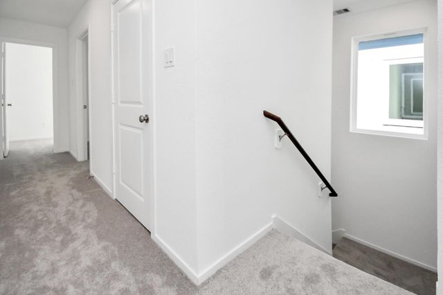 21269 Carosella Dr, New Caney, TX 77357