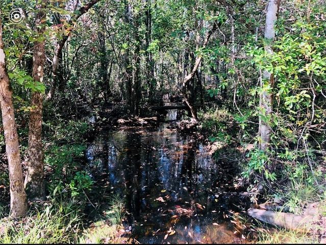 0 Thompson Road, Stockton, AL 36579