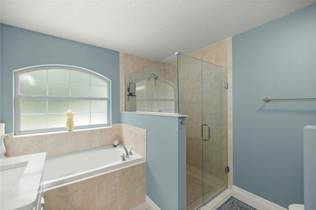 17261 SE 101ST AVENUE ROAD, Summerfield, FL 34491