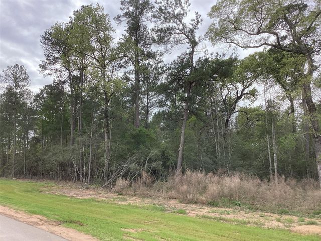 19844 Whispering Creek Trail, Magnolia, TX 77355
