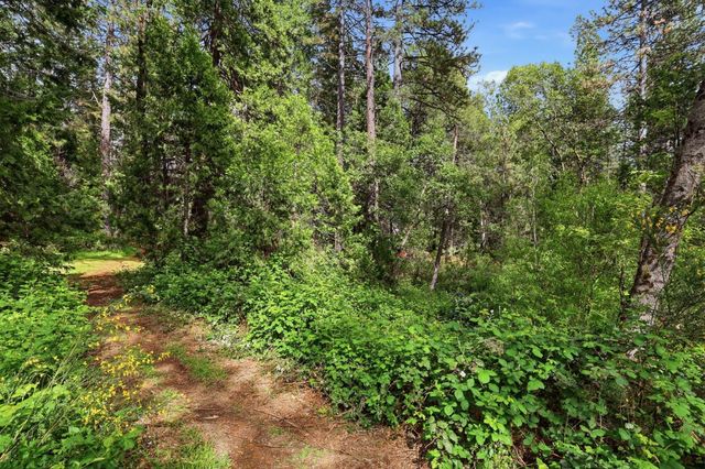 4061 Cedar Dr, Georgetown, CA 95634