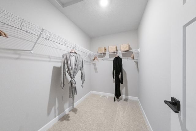 1933 Fulton Road, Carver, MN 55315