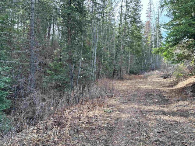 Lot 7 Rail Canyon Rd, Springdale, WA 99173