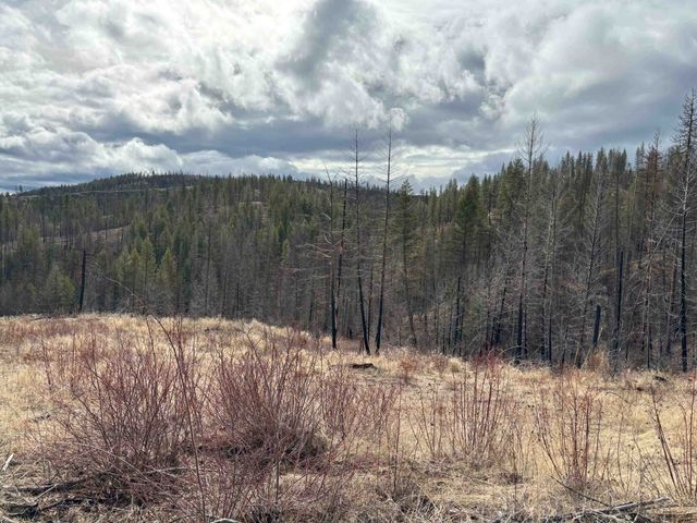Lot 7 Rail Canyon Rd, Springdale, WA 99173