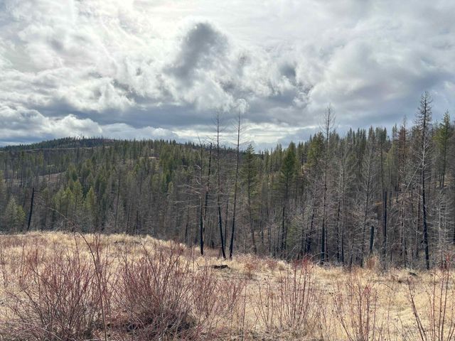 Lot 7 Rail Canyon Rd, Springdale, WA 99173