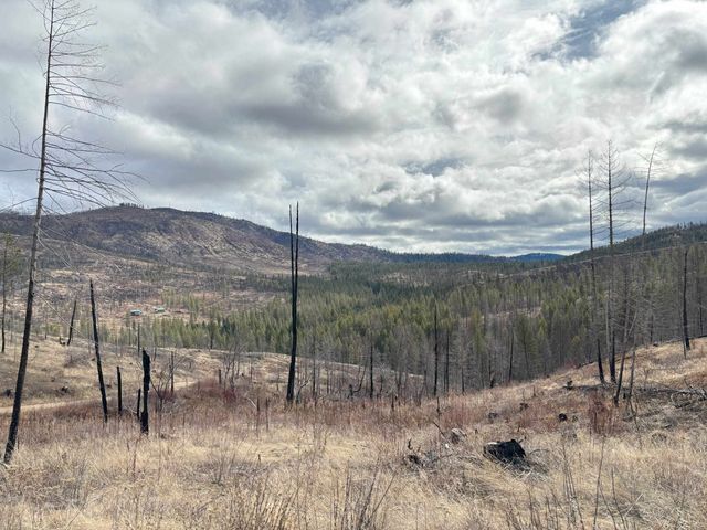 Lot 7 Rail Canyon Rd, Springdale, WA 99173