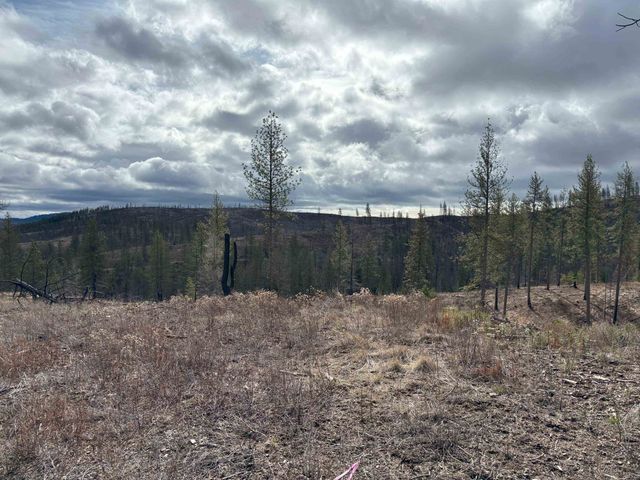 Lot 7 Rail Canyon Rd, Springdale, WA 99173