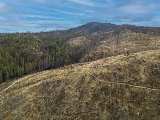 Lot 7 Rail Canyon Rd, Springdale, WA 99173