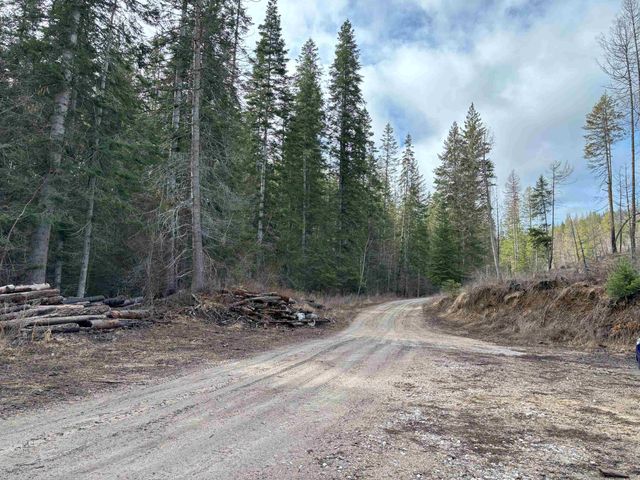 Lot 7 Rail Canyon Rd, Springdale, WA 99173