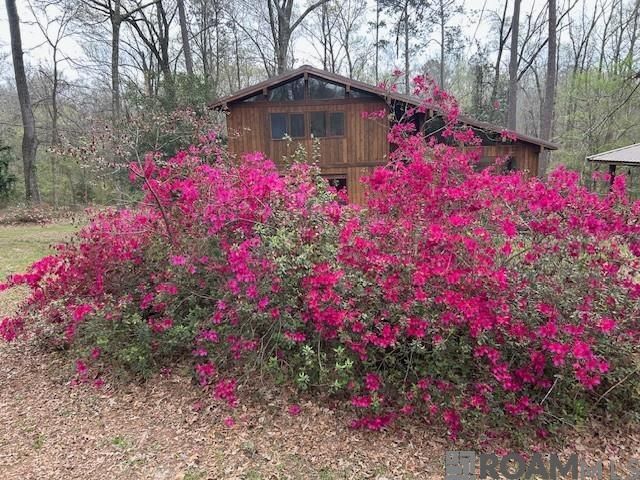 10894 Bains Rd, St Francisville, LA 70775