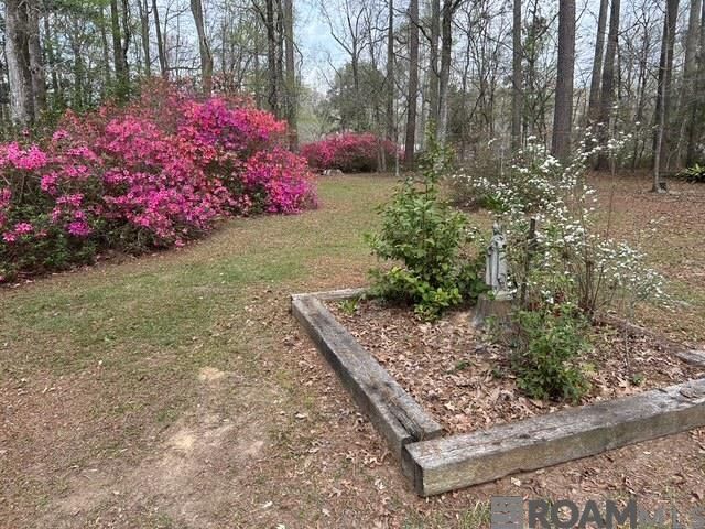 10894 Bains Rd, St Francisville, LA 70775