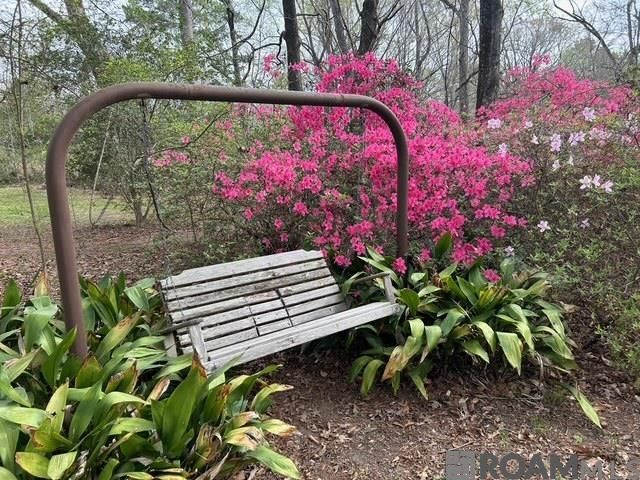 10894 Bains Rd, St Francisville, LA 70775