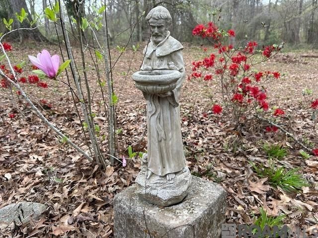 10894 Bains Rd, St Francisville, LA 70775