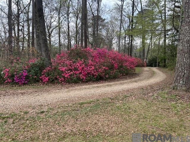 10894 Bains Rd, St Francisville, LA 70775