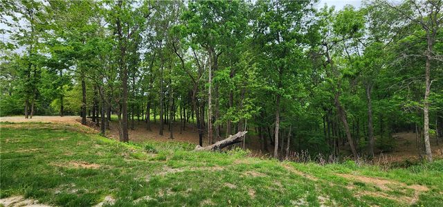 TBD HWY 12 & Lola Jeane Lane, Rogers, AR 72756