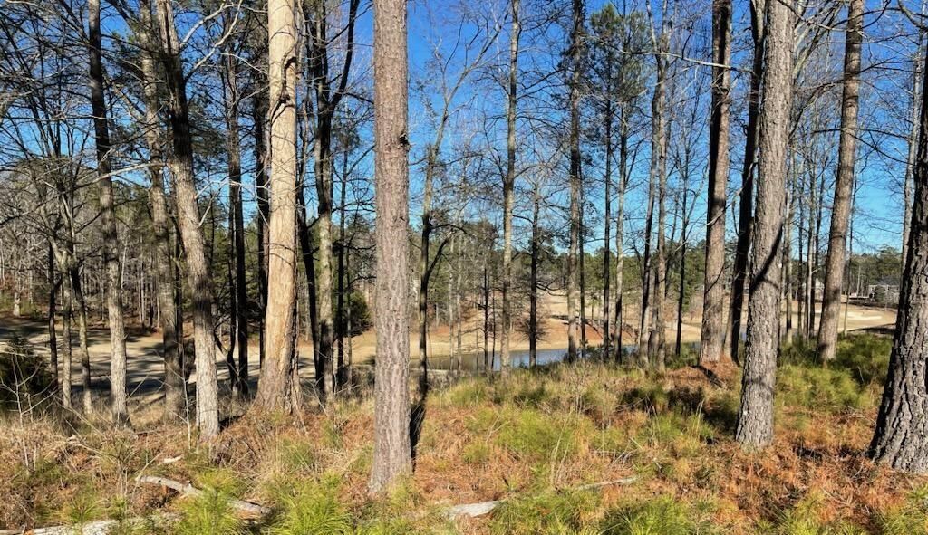 LOT M-7 SCHOOLHOUSE LANE, North Augusta, SC 29860