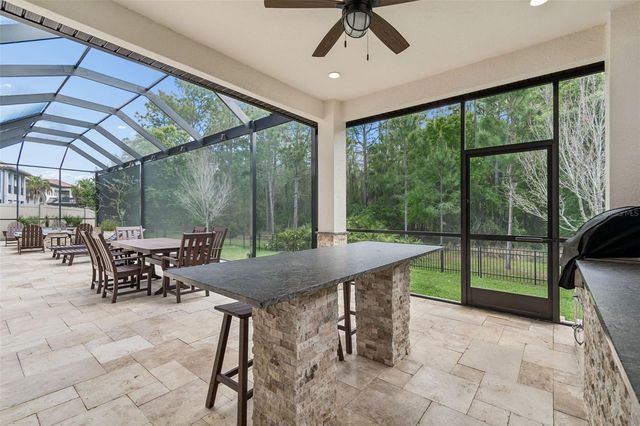 29190 PICANA LANE, Wesley Chapel, FL 33543