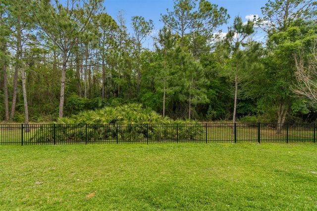 29190 PICANA LANE, Wesley Chapel, FL 33543