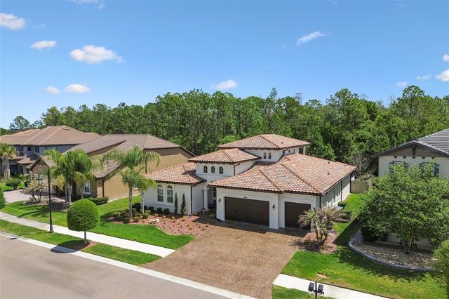 29190 PICANA LANE, Wesley Chapel, FL 33543