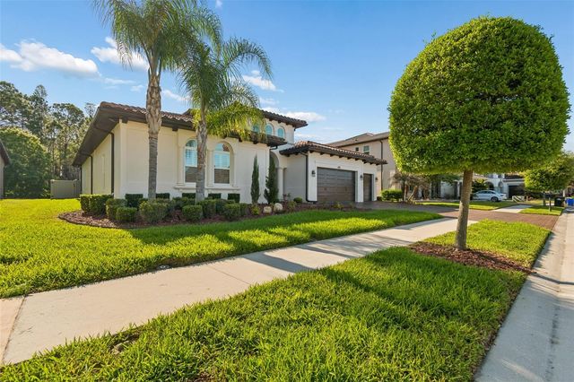 29190 PICANA LANE, Wesley Chapel, FL 33543