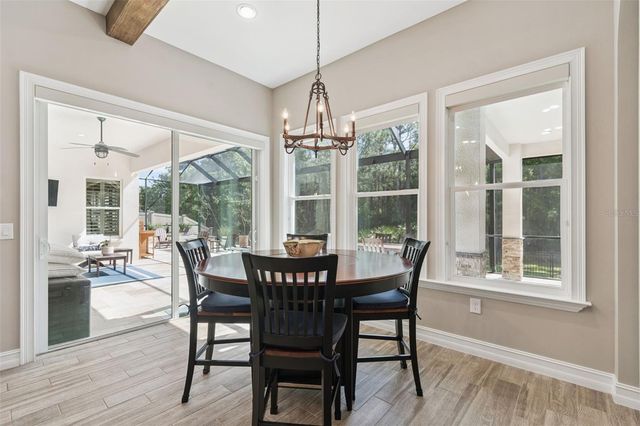 29190 PICANA LANE, Wesley Chapel, FL 33543