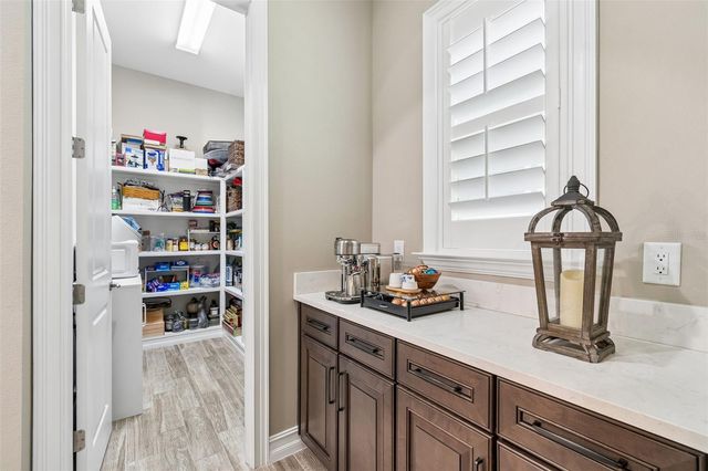 29190 PICANA LANE, Wesley Chapel, FL 33543