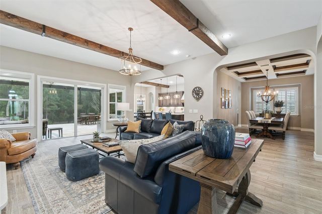 29190 PICANA LANE, Wesley Chapel, FL 33543