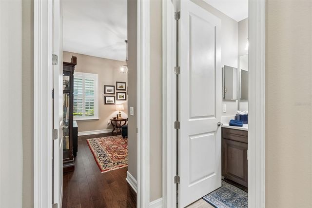 29190 PICANA LANE, Wesley Chapel, FL 33543