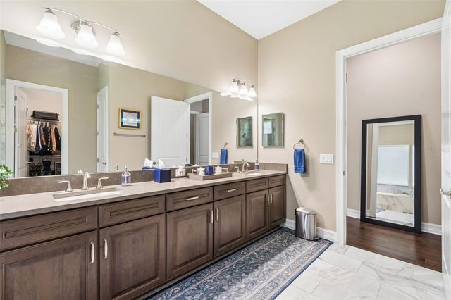 29190 PICANA LANE, Wesley Chapel, FL 33543