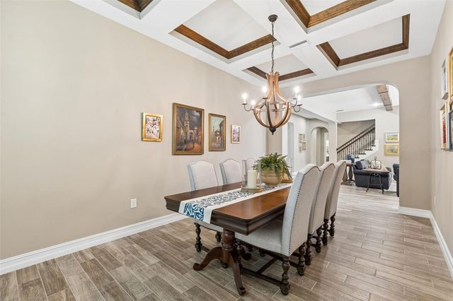 29190 PICANA LANE, Wesley Chapel, FL 33543