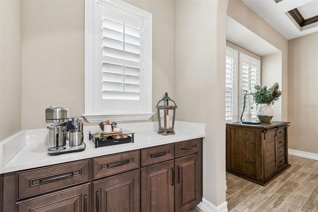 29190 PICANA LANE, Wesley Chapel, FL 33543