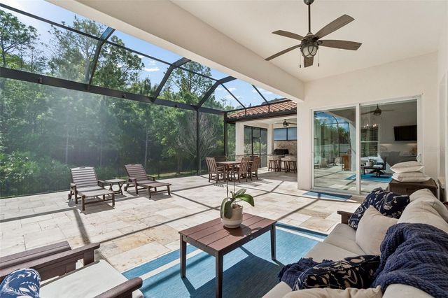 29190 PICANA LANE, Wesley Chapel, FL 33543