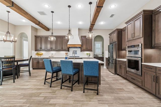 29190 PICANA LANE, Wesley Chapel, FL 33543