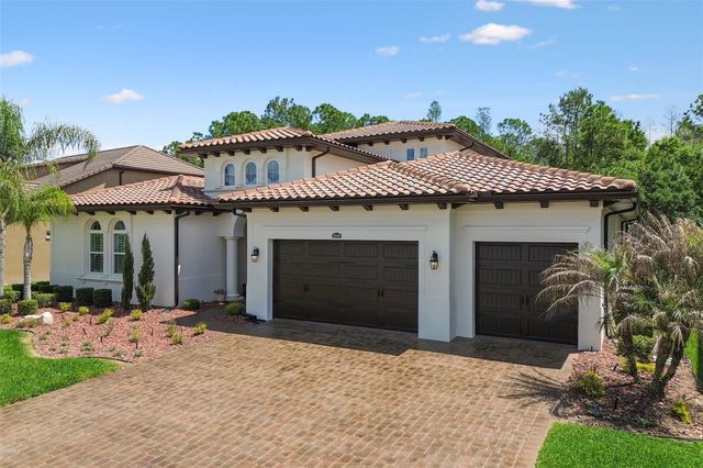 29190 PICANA LANE, Wesley Chapel, FL 33543