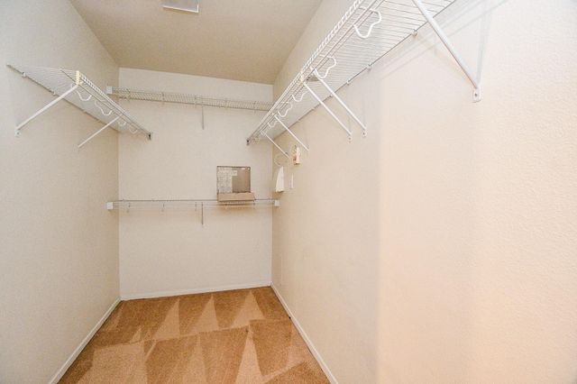 2910 Feather Green Trail, Fresno, TX 77545