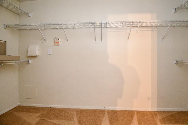 2910 Feather Green Trail, Fresno, TX 77545