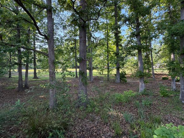 135 Marseille Drive, Maumelle, AR 72113