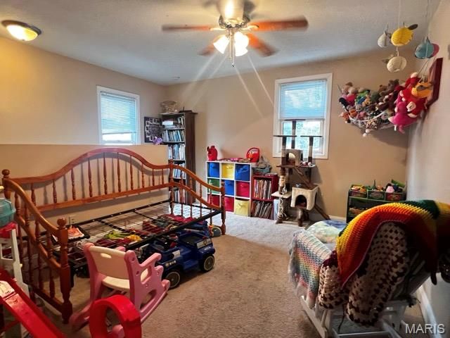 1009 Union Street, Hannibal, MO 63401