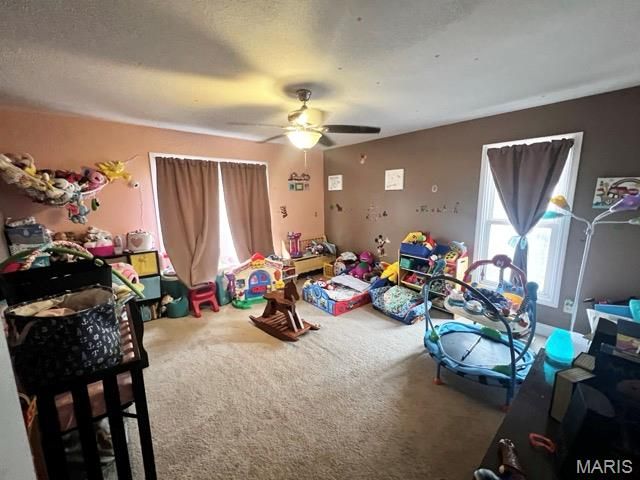 1009 Union Street, Hannibal, MO 63401