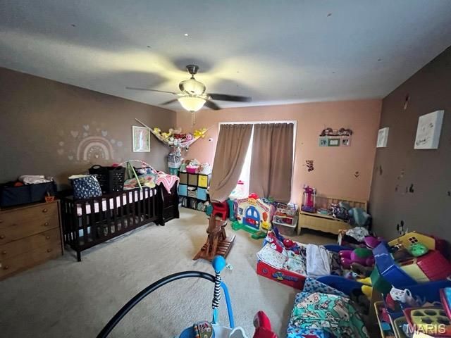 1009 Union Street, Hannibal, MO 63401