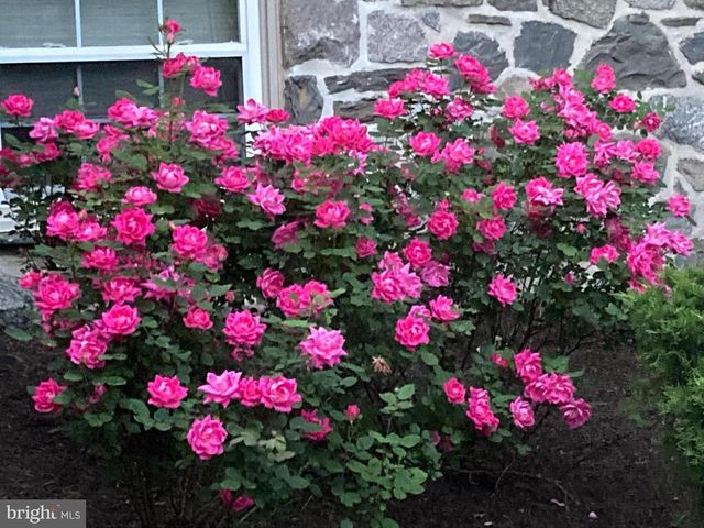 259 BARWYNNE RD, Wynnewood, PA 19096